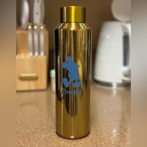 NEW Disneyland 50th Gold SB Tumblr 💛